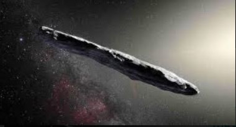 Interstellar object Oumuamua, what did we see? 