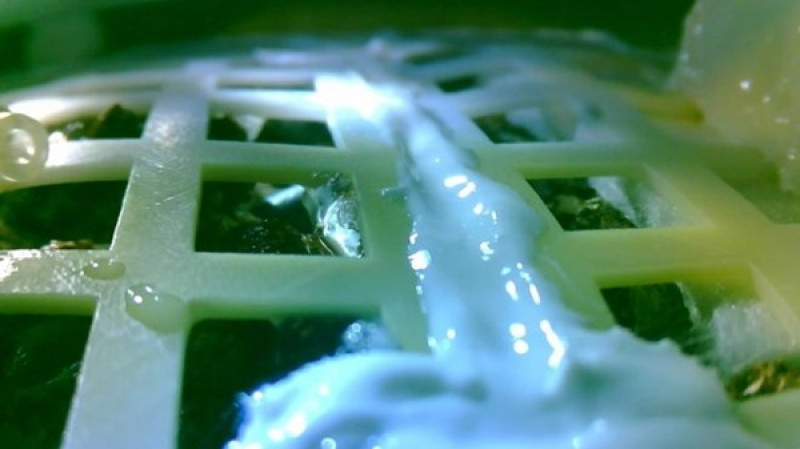 Plants have been grown on the Moon!
