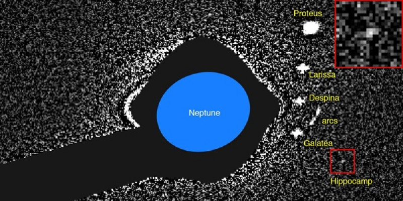 Meet Neptune's new moon, Hippocamp