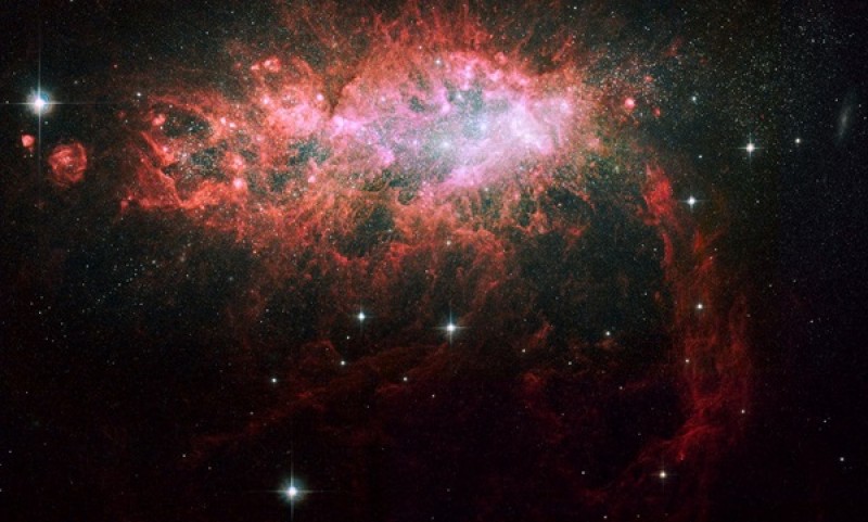 Supermassive black holes stop star formation in dwarf galaxies
