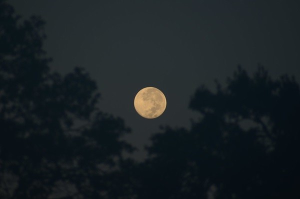 The Sky This Week: Observe the Moon