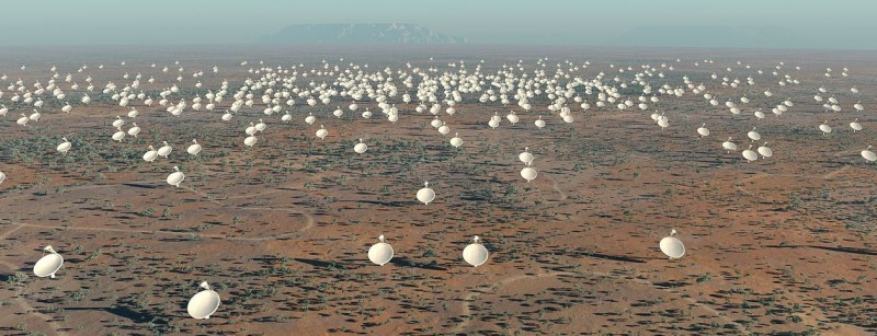 Astronomy's Next Big Thing: the Square Kilometer Array