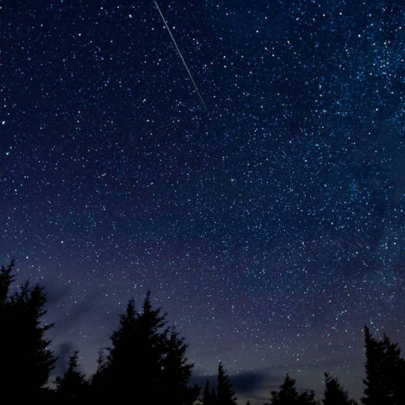 WATCH: August is Perseid Meteor Shower Month and It's Going to be a Good One